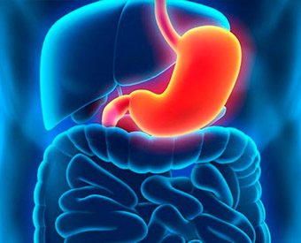 gastroenterologia